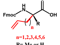 Stapled peptide